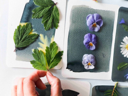 Acheter Kit MKMI - Mon atelier cyanotype - 19,99 € en ligne sur La Petite Epicerie - Loisirs créatifs