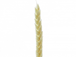Acheter Brin de blé décoloré - Blanc - 0,29 € en ligne sur La Petite Epicerie - Loisirs créatifs
