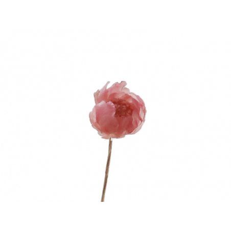Acheter Brin de Marcela - Rose - 0,09 € en ligne sur La Petite Epicerie - Loisirs créatifs