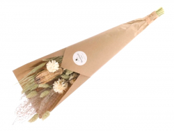 Acheter Bouquet de fleurs séchées - Mix blanc et vert - 13,89 € en ligne sur La Petite Epicerie - Loisirs créatifs
