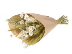 Acheter Bouquet de fleurs séchées Oslo - Naturel - 22,99 € en ligne sur La Petite Epicerie - Loisirs créatifs
