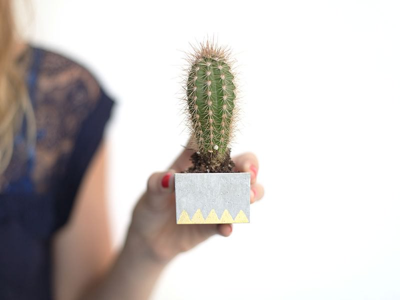 Le pot à cactus en béton