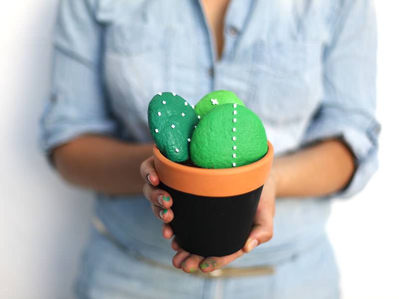 Les cactus éternels