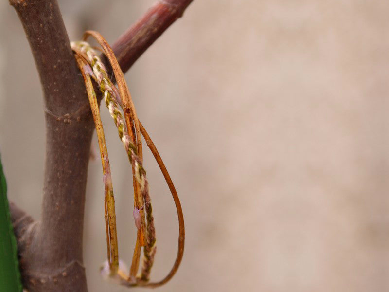 Le bracelet d'automne