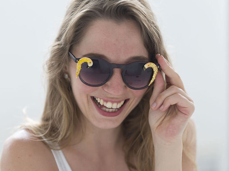 Les lunettes flamant rose