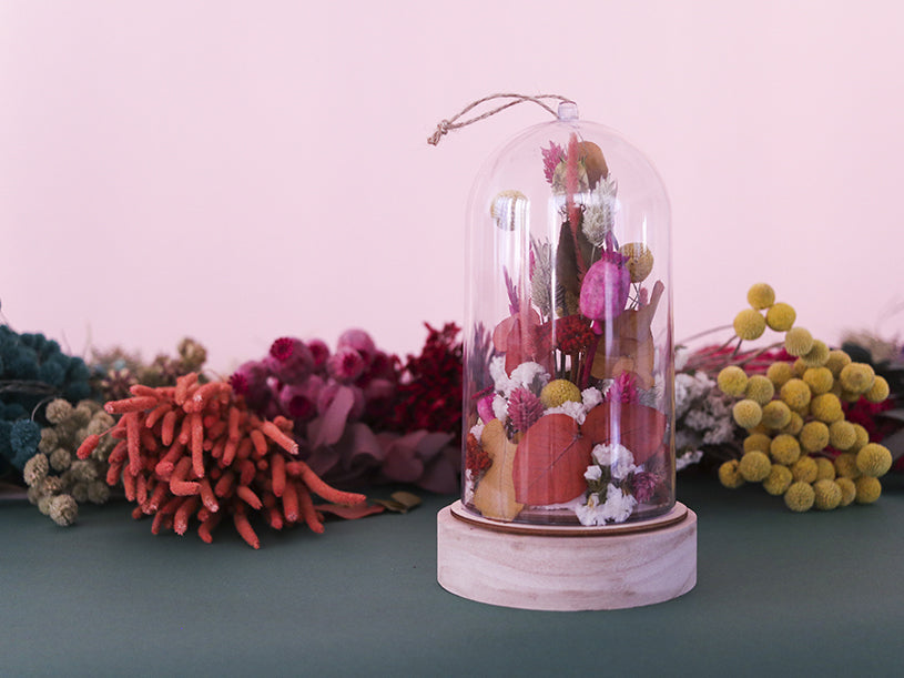 Les fleurs séchées sous cloche