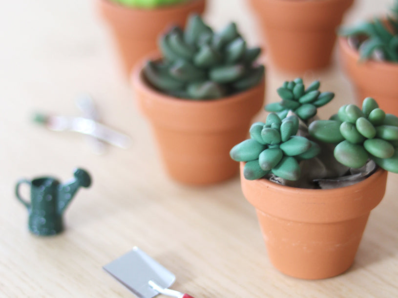 Les succulentes en pâte Fimo