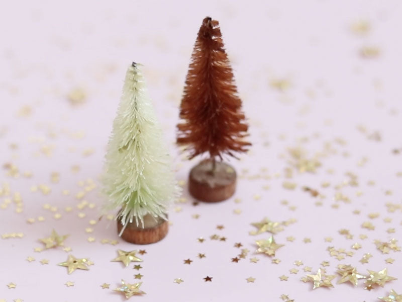 Le sapin à teindre