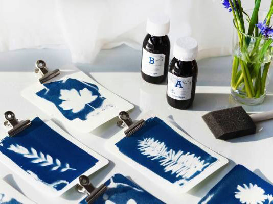 Découvrez le cyanotype