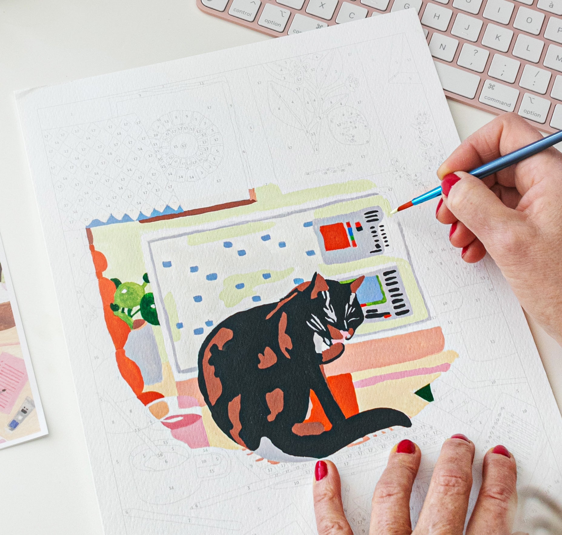 Boutique Collection animaux en ligne