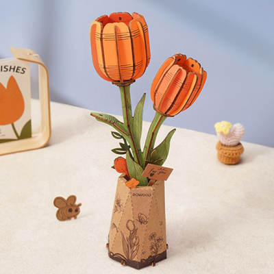 Boutique Puzzles 3D en ligne