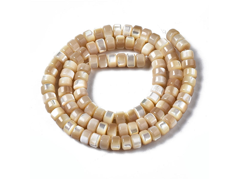 achat Lot de 20 perles colonnes 6 mm - Coquille de trochid naturelle