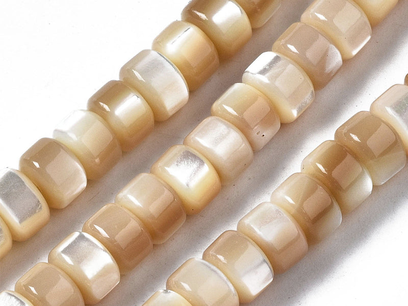 Achat Lot de 20 perles colonnes 6 mm - Coquille de trochid naturelle