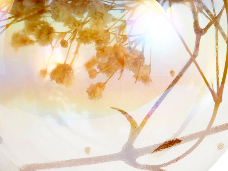 Achat Boule de Noël en verre nacré avec fleurs séchées - Beige