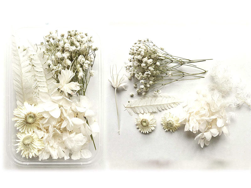 Achat Boite de fleurs séchées mélangées - Coloris blanc