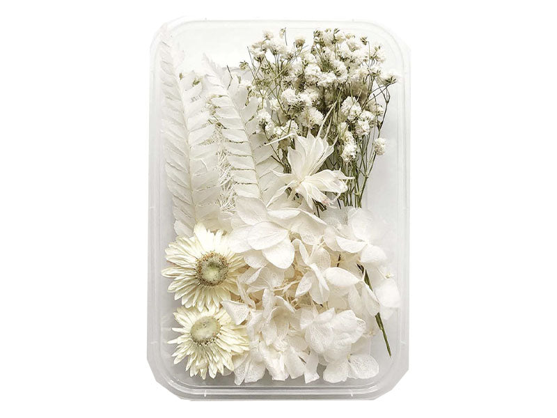 Achat Boite de fleurs séchées mélangées - Coloris blanc