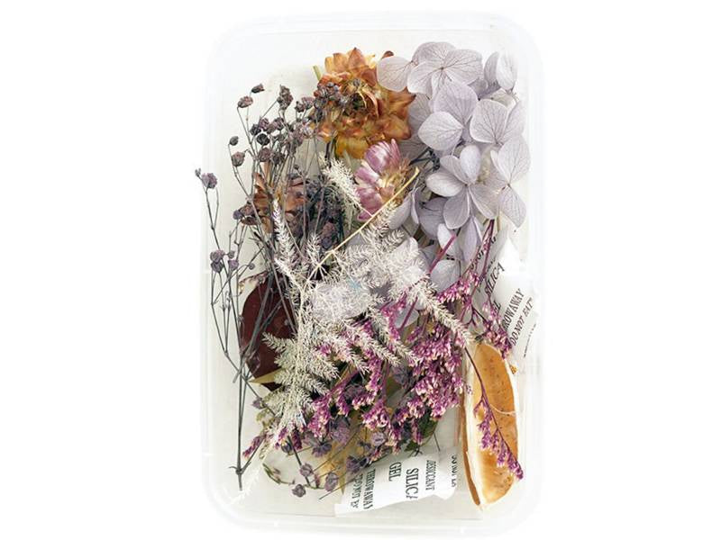 Achat Boite de fleurs séchées mélangées - Coloris variés