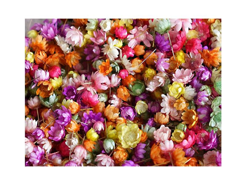 Achat Sachet de minis fleurs séchées - Marcella multicolores
