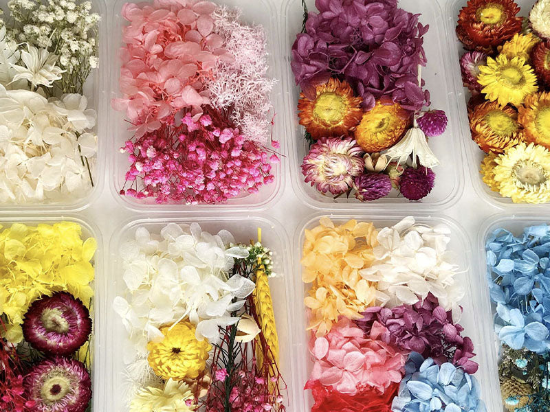 Achat Boite de fleurs séchées mélangées - Coloris rose