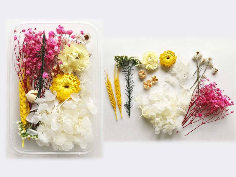achat Boite de fleurs séchées mélangées - Coloris blanc jaune rose