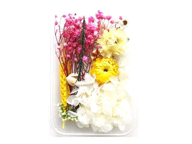 Achat Boite de fleurs séchées mélangées - Coloris blanc jaune rose