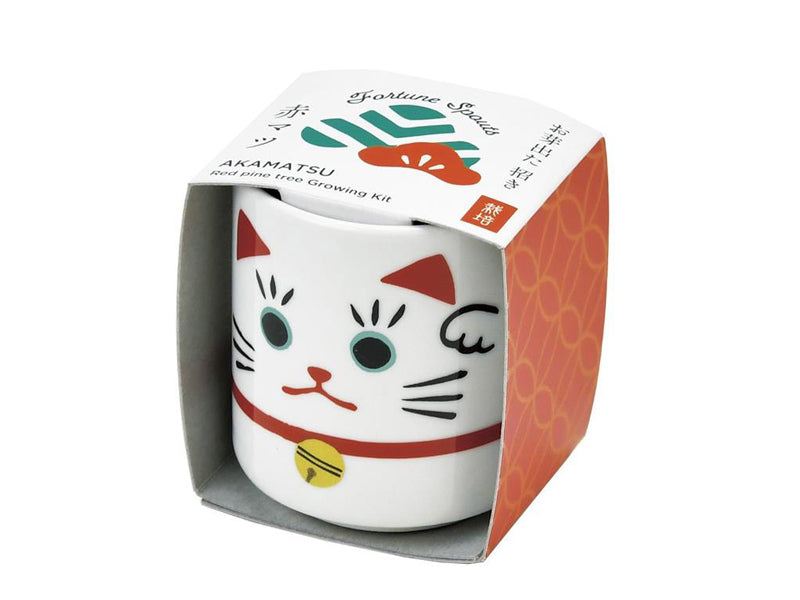 Achat Mini kit "Lucky cat" Trèfle
