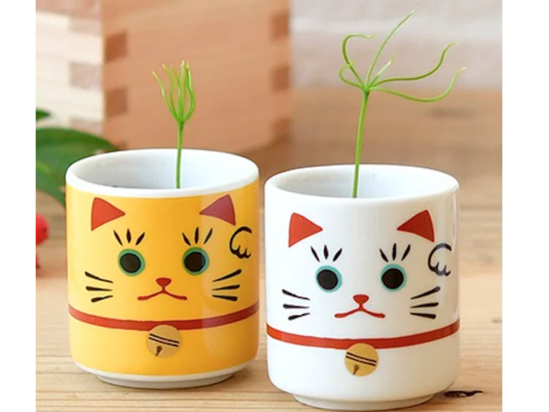 Achat Mini kit "Lucky cat" Trèfle