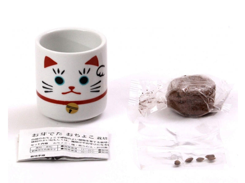 achat Mini kit "Lucky cat" Trèfle