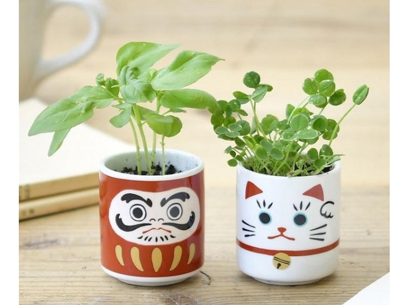 achat Mini kit "Lucky cat" Trèfle