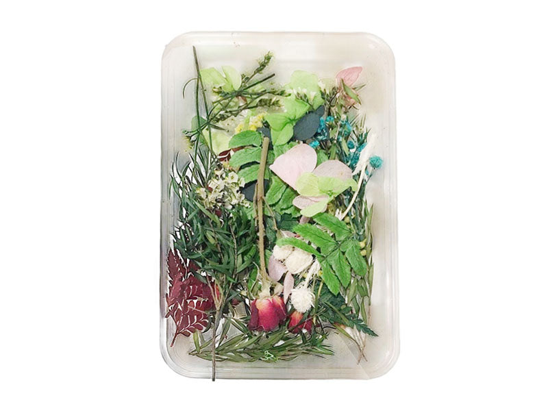 Achat Boite de mélange de fleurs séchées - Coloris vert