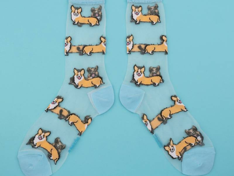 Achat Chaussettes transparentes - Corgi