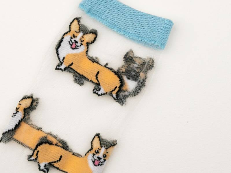 achat Chaussettes transparentes - Corgi