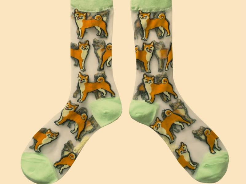 achat Chaussettes transparentes - Shiba