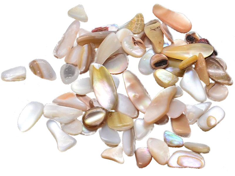 Achat 50 grammes de morceaux de coquillages pour Jesmonite - 7-10mm