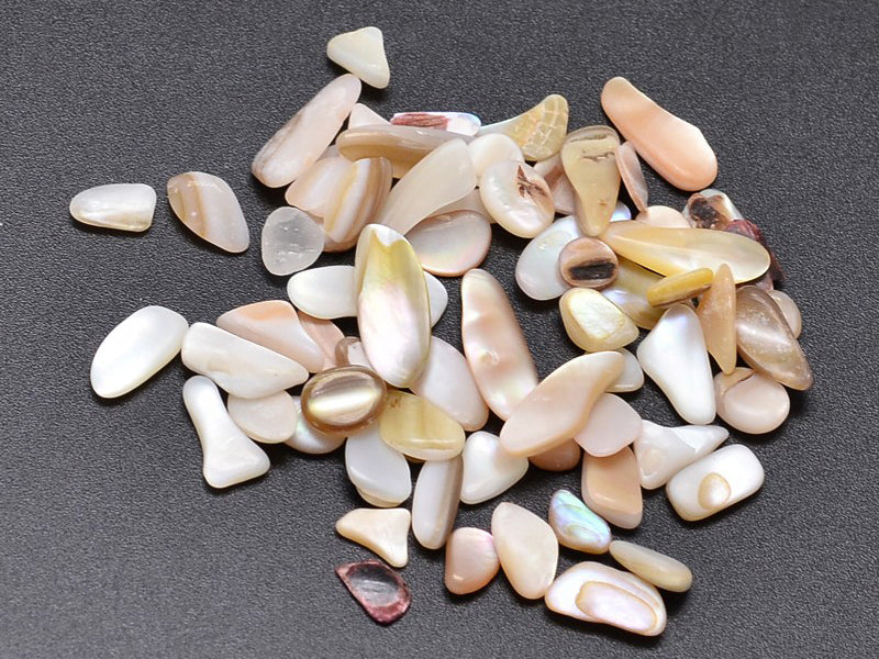 Achat 50 grammes de morceaux de coquillages pour Jesmonite - 7-10mm