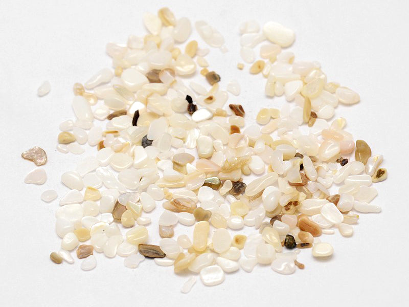 Achat 50 grammes de fragments de coquillages pour Jesmonite - 2-3 mm