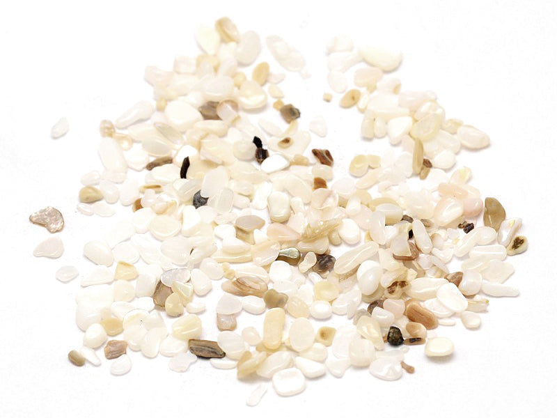 Achat 50 grammes de fragments de coquillages pour Jesmonite - 2-3 mm