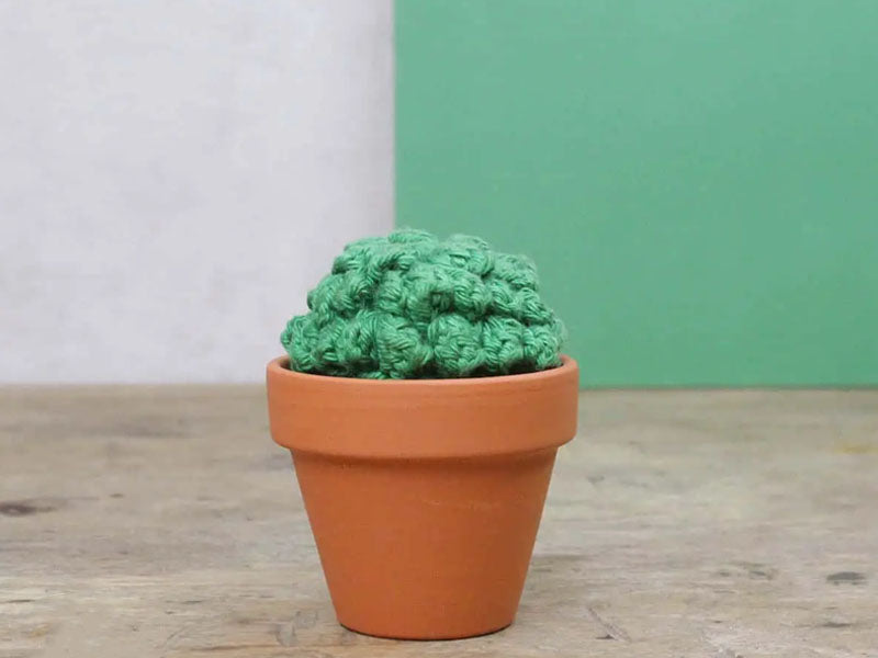 achat Kit crochet - Cactus