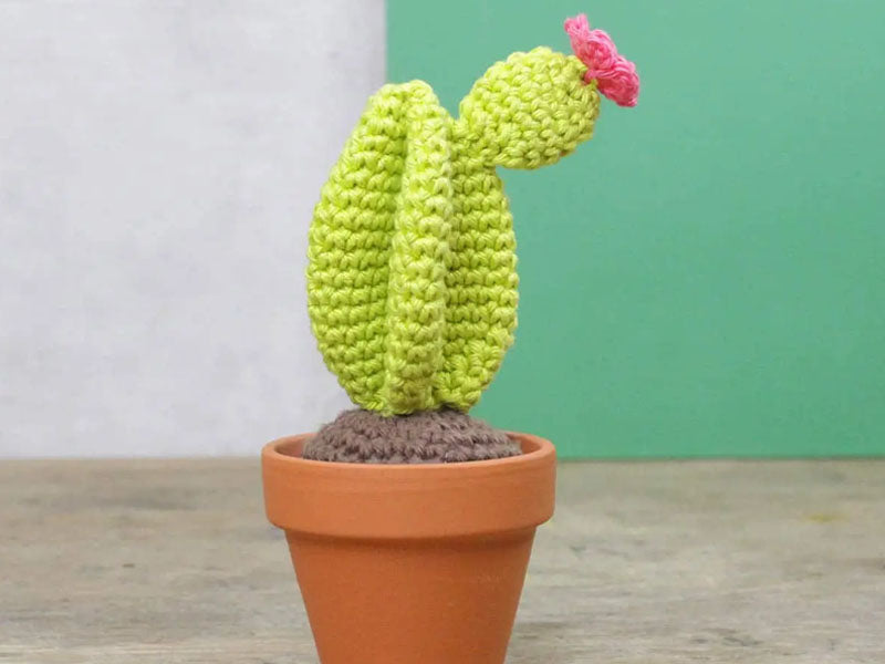 achat Kit crochet - Cactus