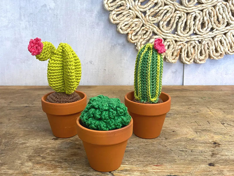 achat Kit crochet - Cactus