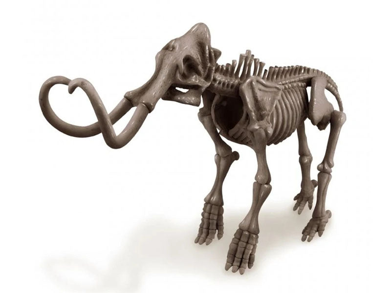 Achat Kit DAM - Déterre ton dinosaure - Mammouth