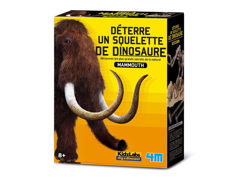 Achat Kit DAM - Déterre ton dinosaure - Mammouth