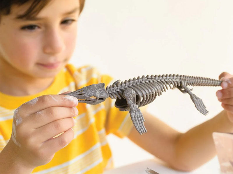 Achat Kit DAM - Déterre ton dinosaure - Mosasaurus