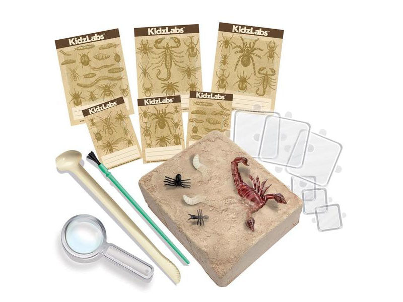 achat Kit DAM - Déterre tes insectes - Creepy Crawly