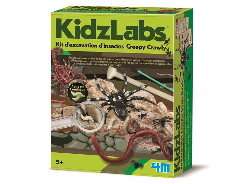 Achat Kit DAM - Déterre tes insectes - Creepy Crawly