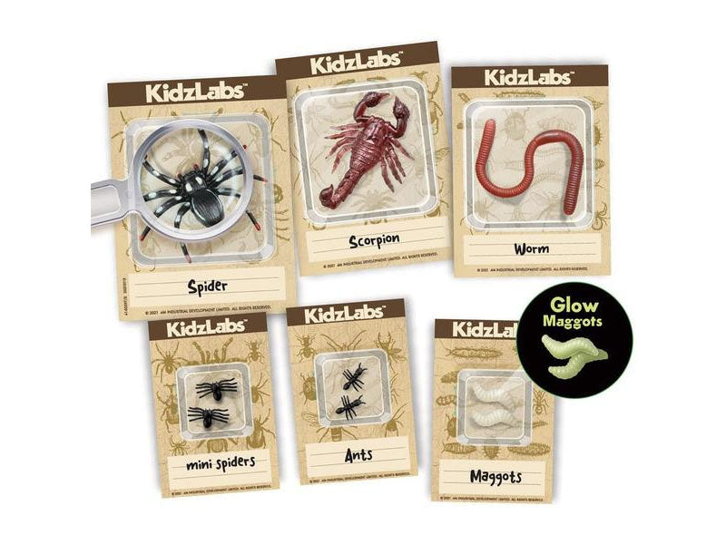 achat Kit DAM - Déterre tes insectes - Creepy Crawly