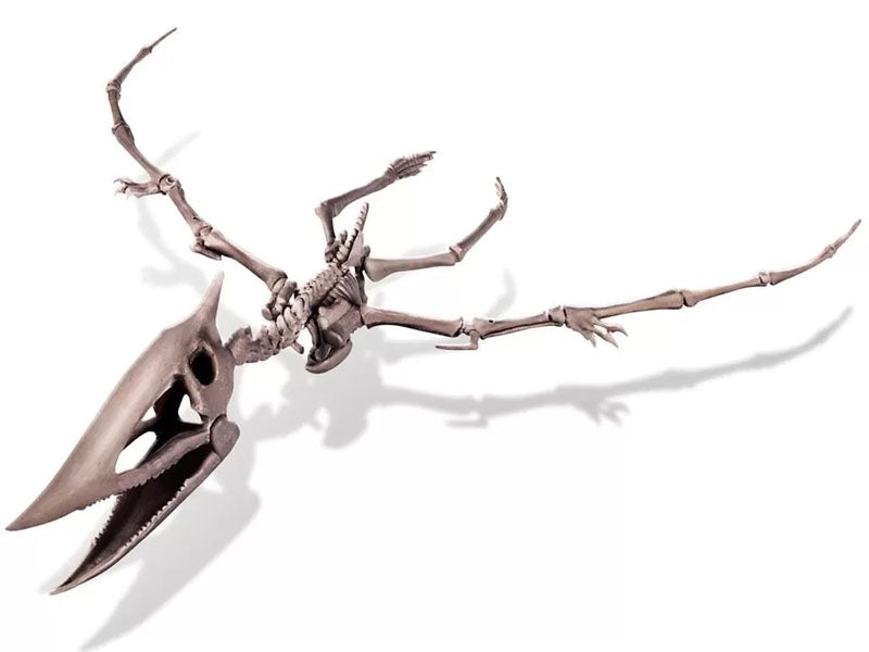 achat Kit DAM - Déterre ton dinosaure - Pteranodon