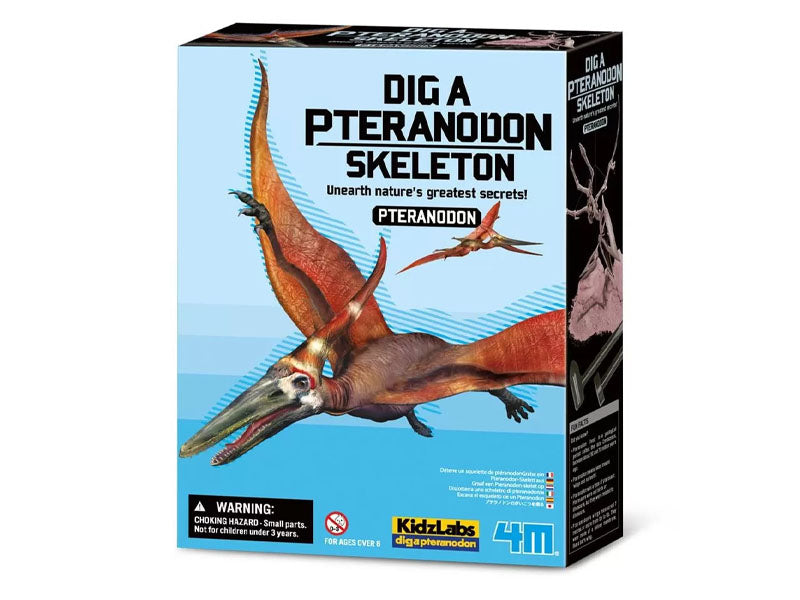 Achat Kit DAM - Déterre ton dinosaure - Pteranodon