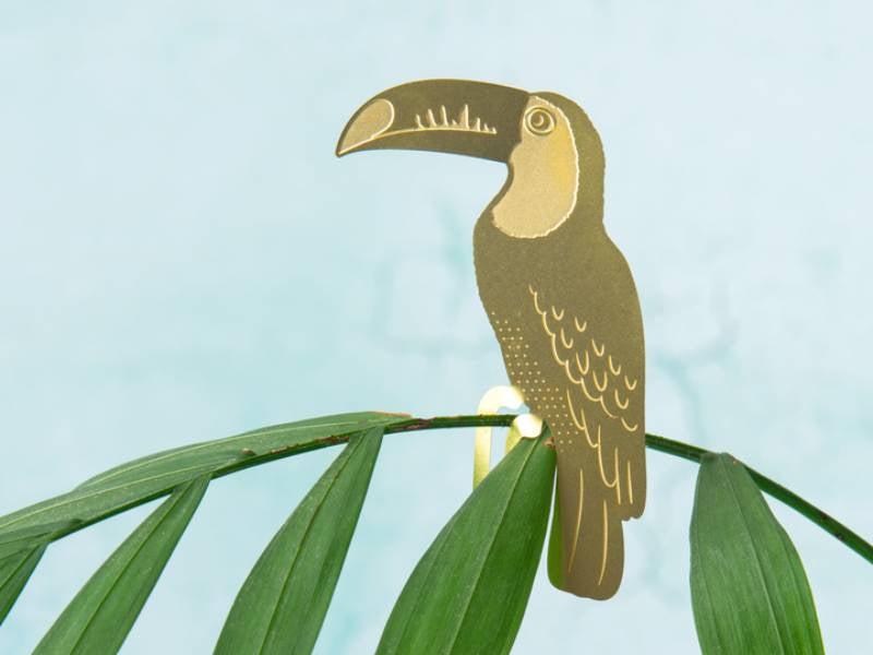 achat Bijou pour plantes - Toucan