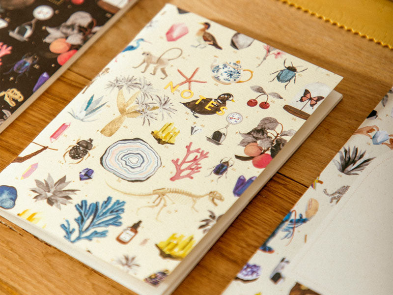 Achat Duo de Carnets A6 Curiosity - ATWS